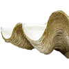 Coastal Vintage Clam Shell 69 cm