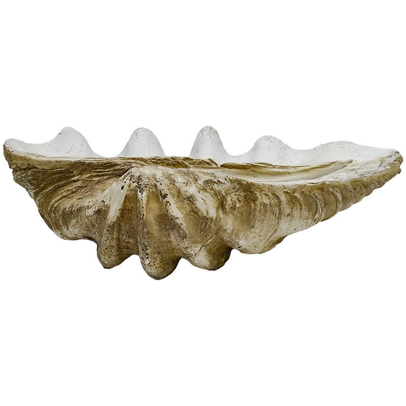 Coastal Vintage Clam Shell 79 cm