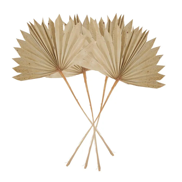 dried palm leaves 