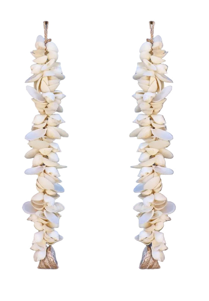 Sea shell wall hanging
