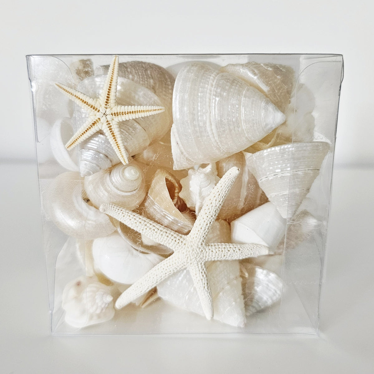 Box of Mixed Premium White Sea Shells