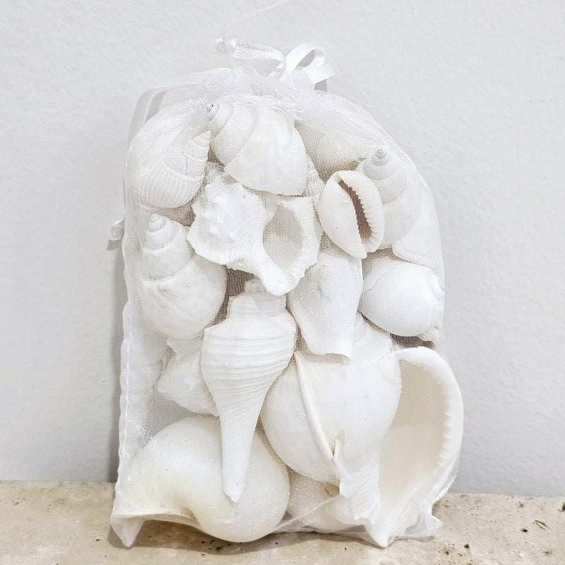 Small Bag of Premium White Sea Shells
