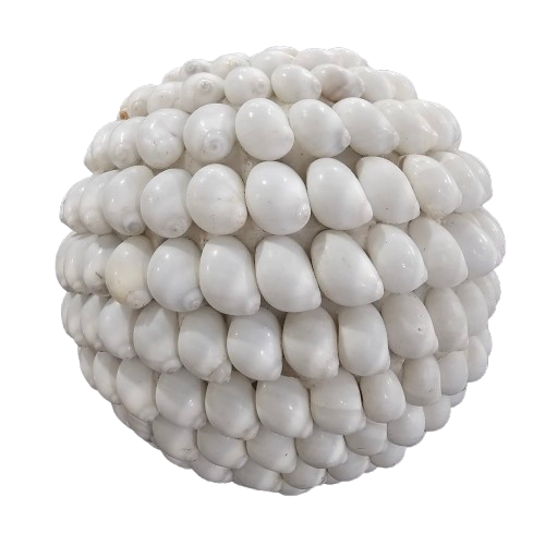 Bora Bora Shell Ball | White.
