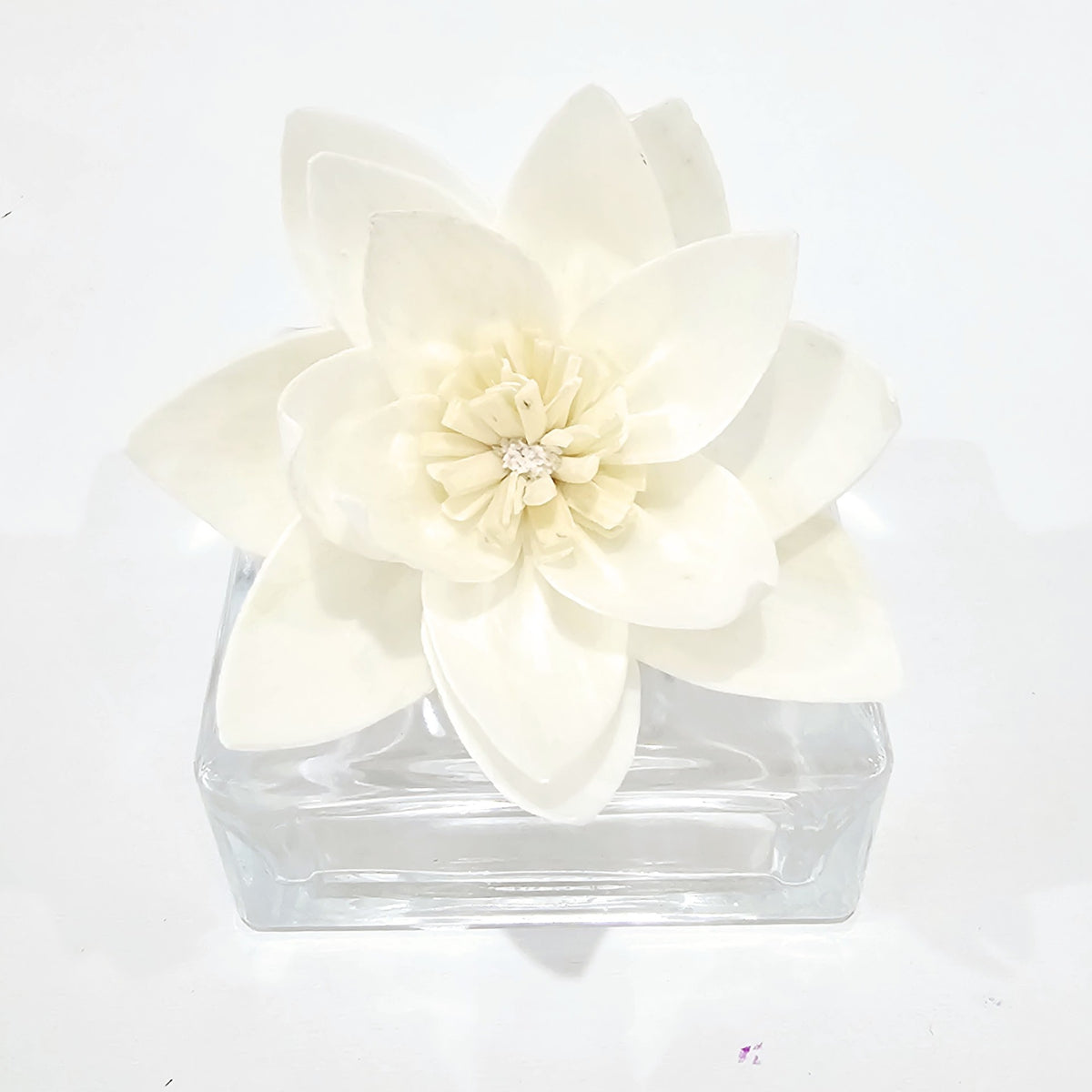 Luxe Sola Flower Botanical Diffuser | Water Lily Reed