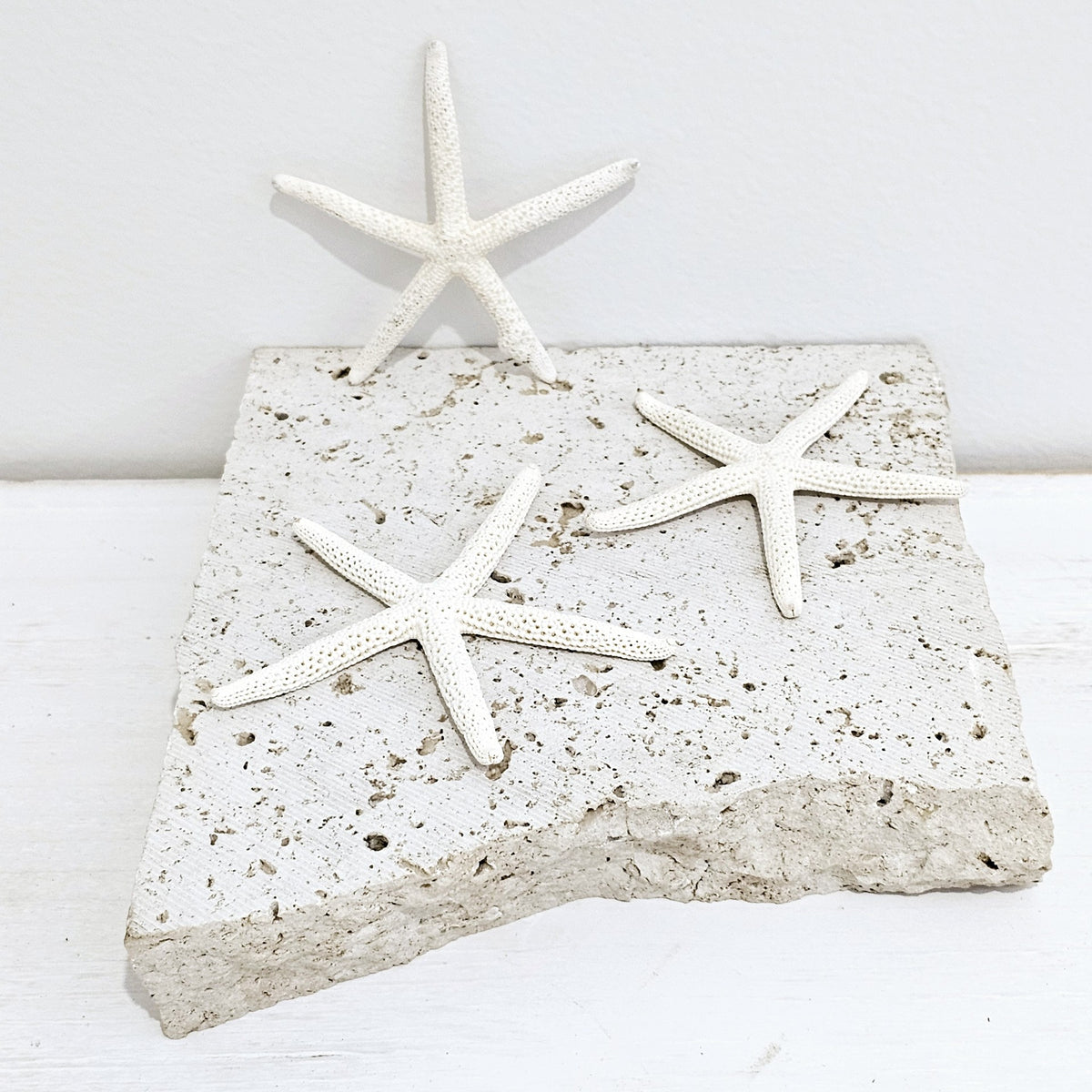 Star Fish Finger | Mini 5cm