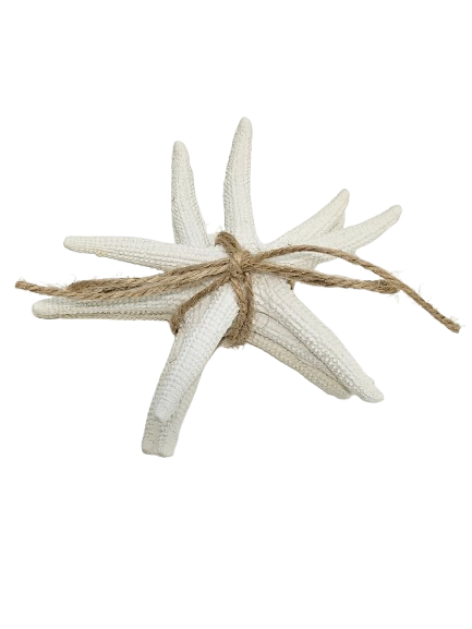 Star Fish Stack of 3 | White