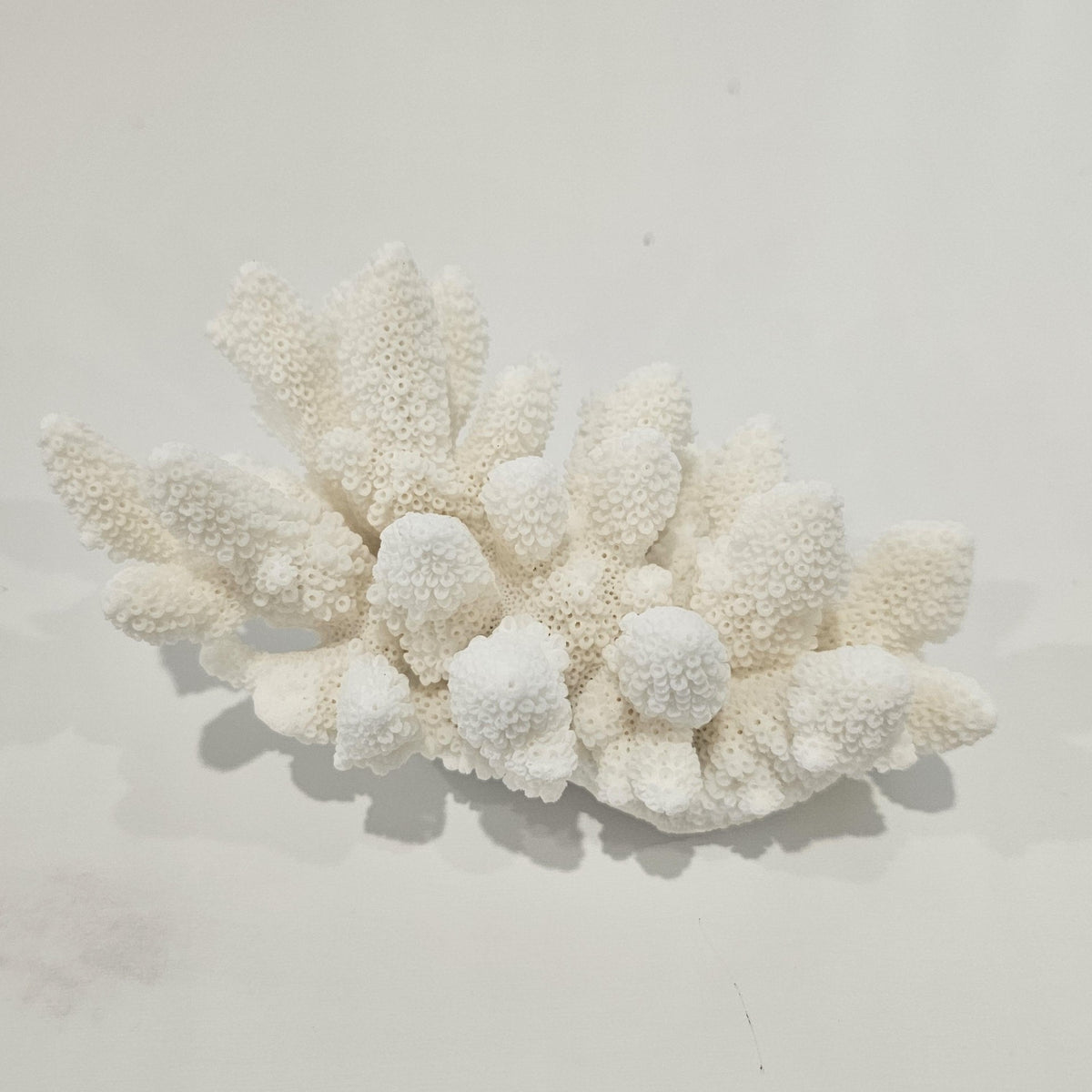 Authentic Premium Coral Finger