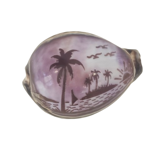 Sunset Hand Carved Cowrie Shell