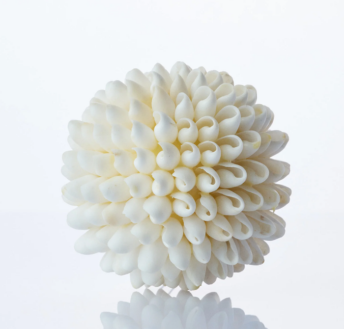 Bahamas Shell Ball | White