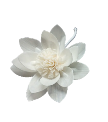 Luxe Sola Flower Botanical Reed Diffuser | Water Lily Reed | Shipping from 10 Sept