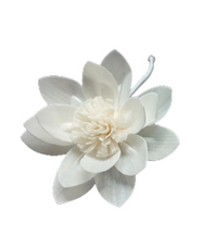 Luxe Sola Flower Botanical Diffuser | Water Lily Reed