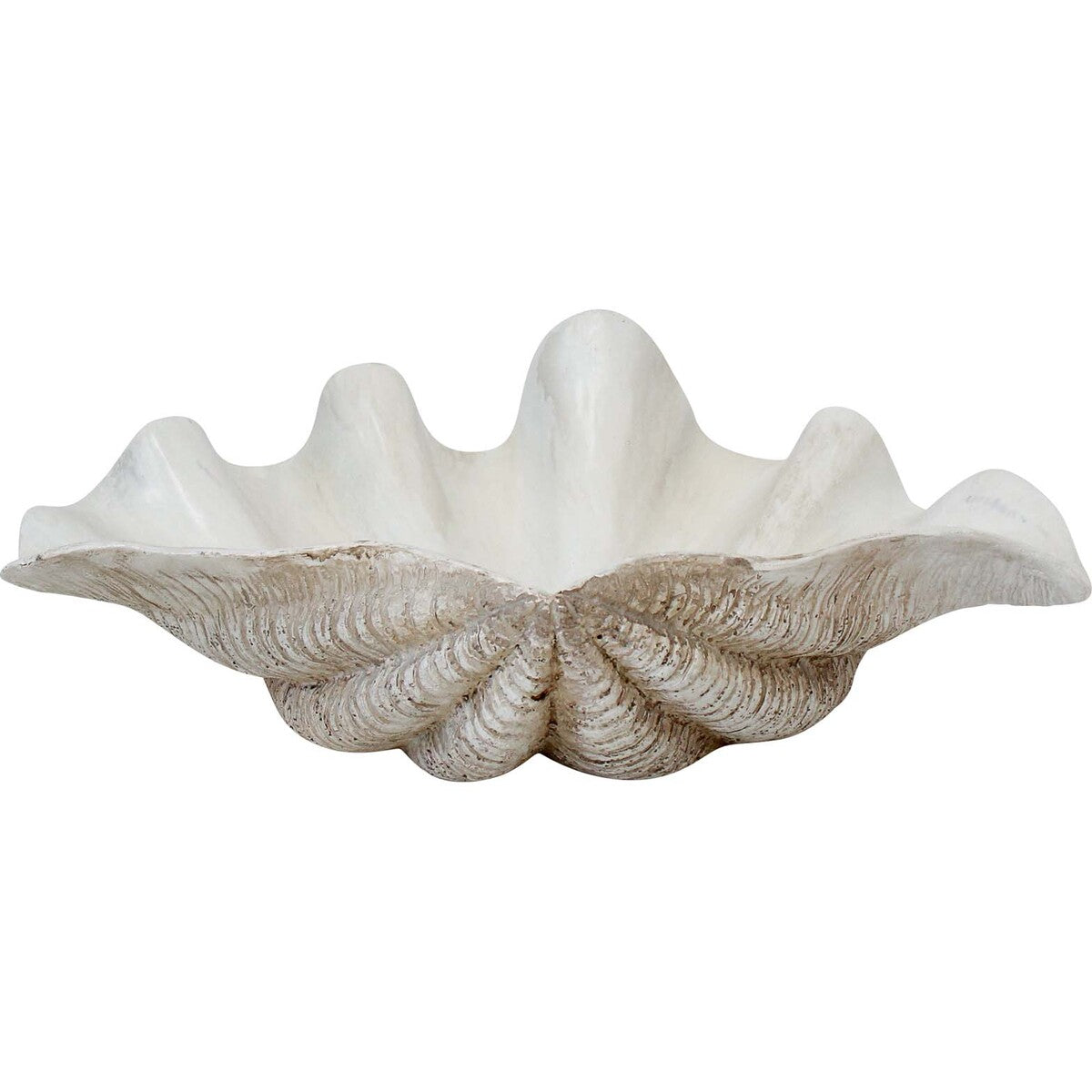 Clam Shell | White