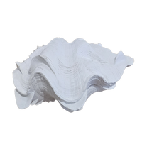 White Resin Clam Shell