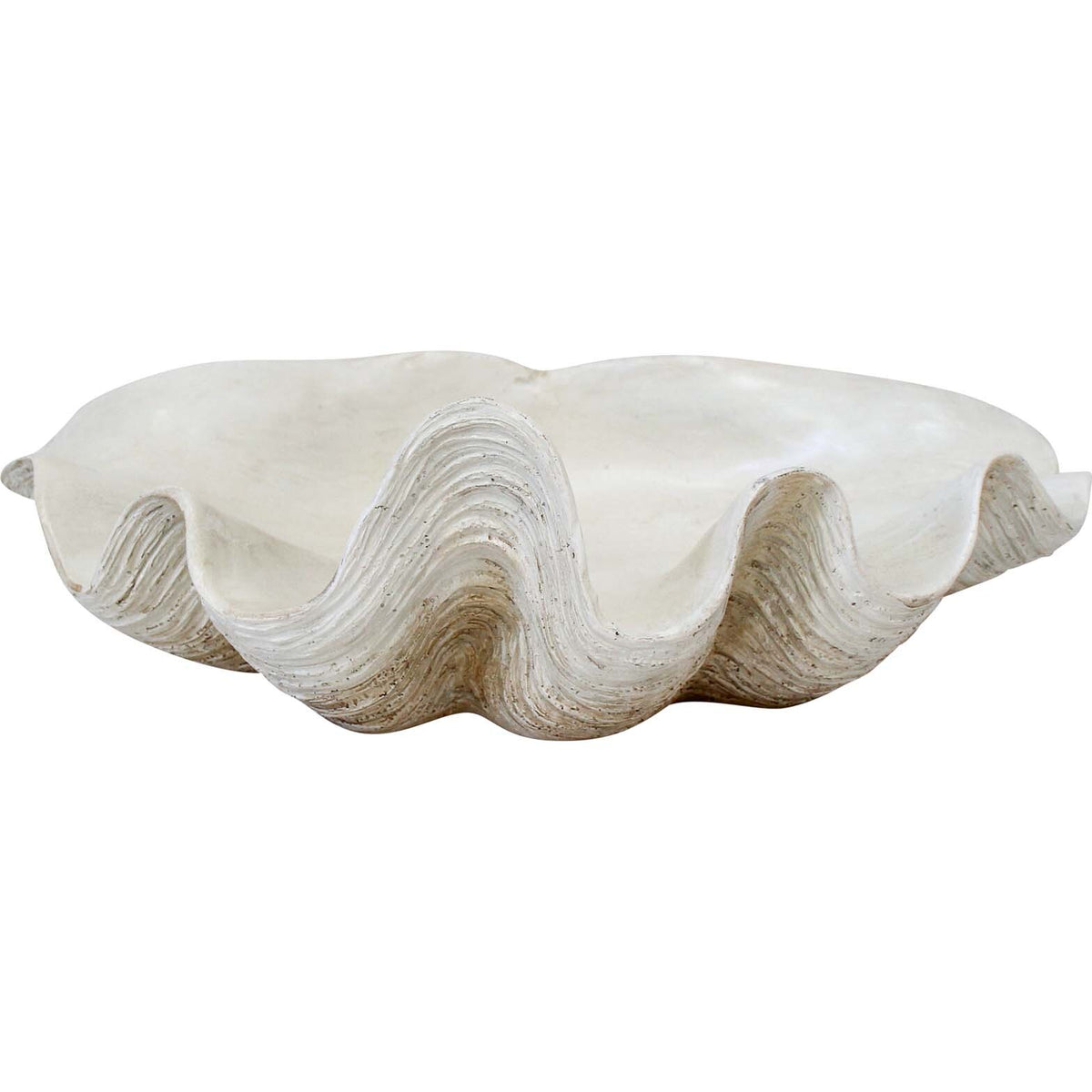 Clam Shell | White