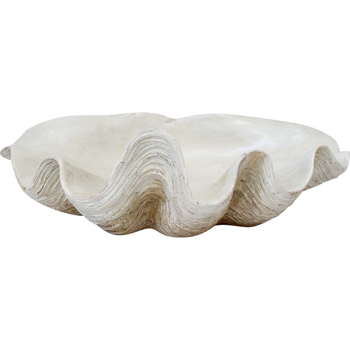 Clam Shell | White