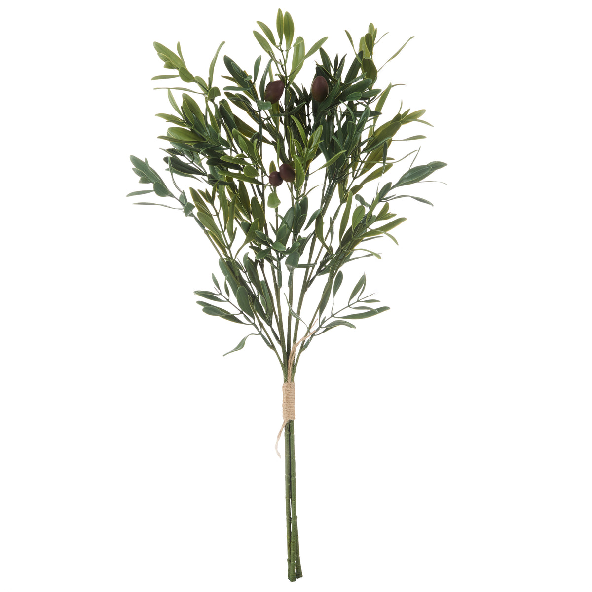 Olive Stem Spray 54 cm