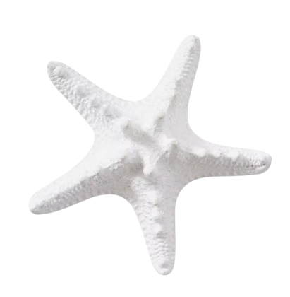 knobbly white star fish made from resin