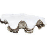 Luxe Petite Vintage Clam Shell. - Luxe Coastal Home