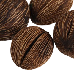 Dried Mintolla Ball