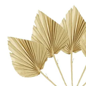 Gold palm leaves on a white background