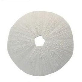 Sea Urchin Artifical White - Luxe Coastal Home