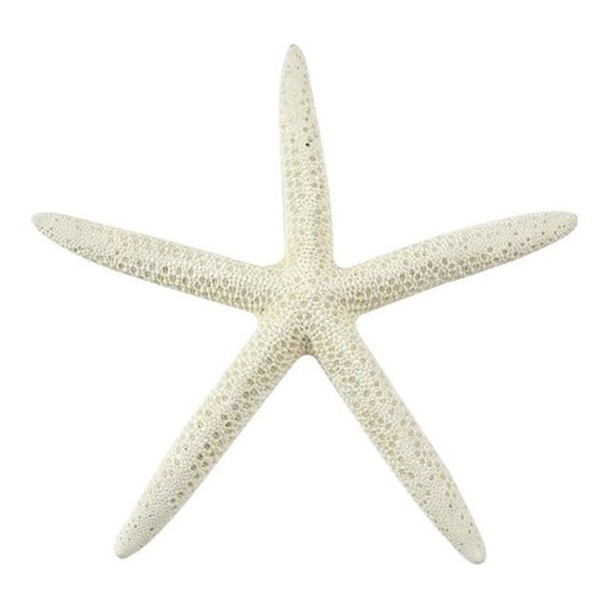 Star Fish Finger | Mini 5cm