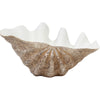 Vintage Table Clam Shell. - Luxe Coastal Home