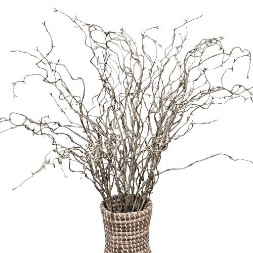 Willow Twig Branch Grey Wash - Luxe Coastal Home