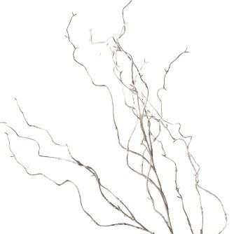 Willow Twig Branch Grey Wash - Luxe Coastal Home