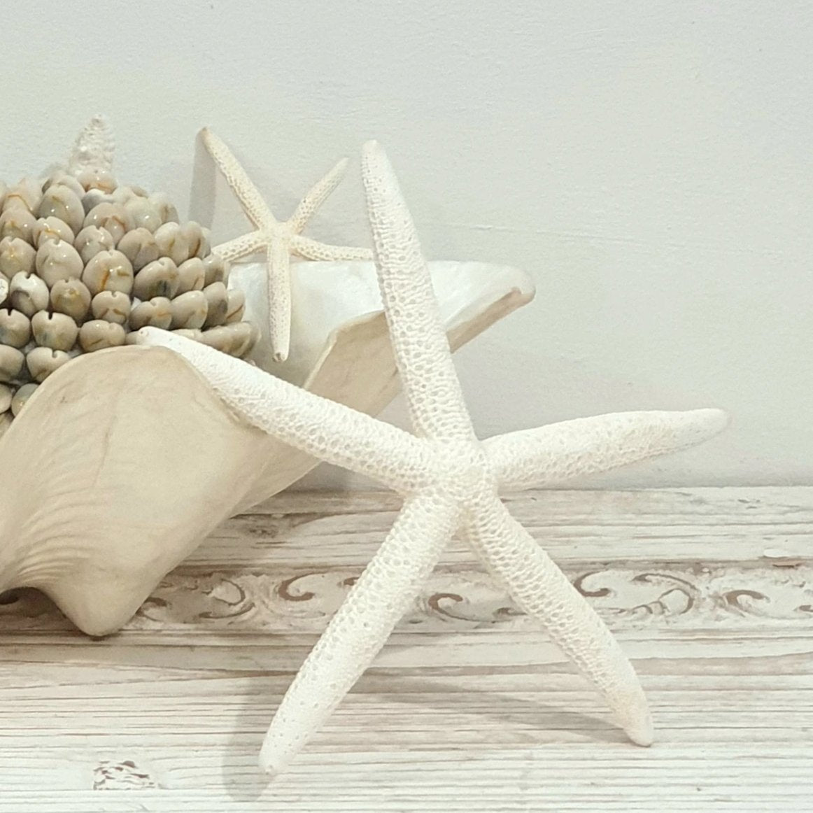 Star Fish Finger