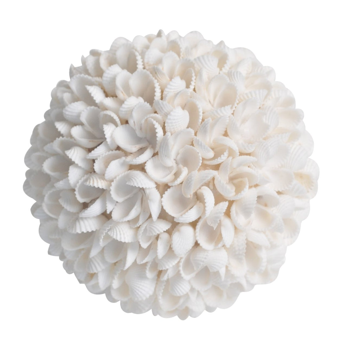 frangipani shell deco ball