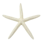 Star Fish Finger 12 cm