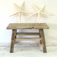 Star Fish Finger 12 cm