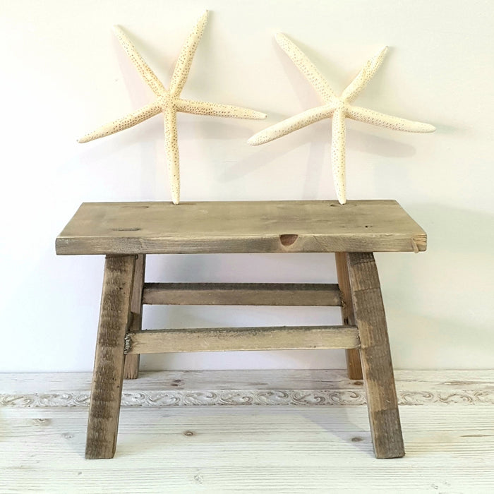 Star Fish Finger 12 cm