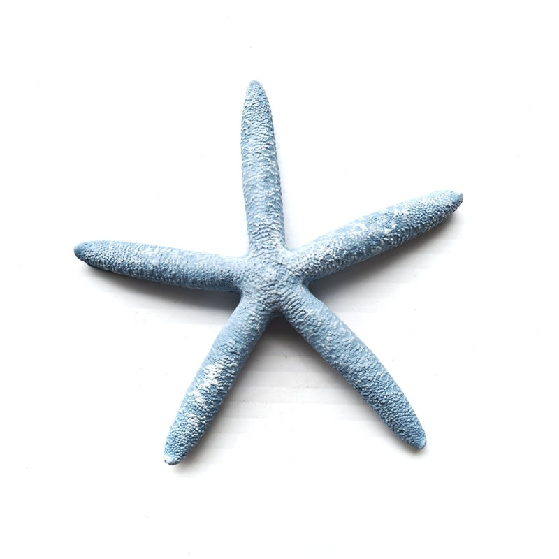 Blue Star Fish - Luxe Coastal Home