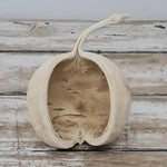 Dried Buddha Nut Bleached. - Luxe Coastal Home