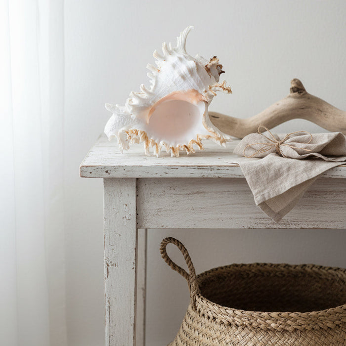 Murex Ramosus Sea Shell - Luxe Coastal Home
