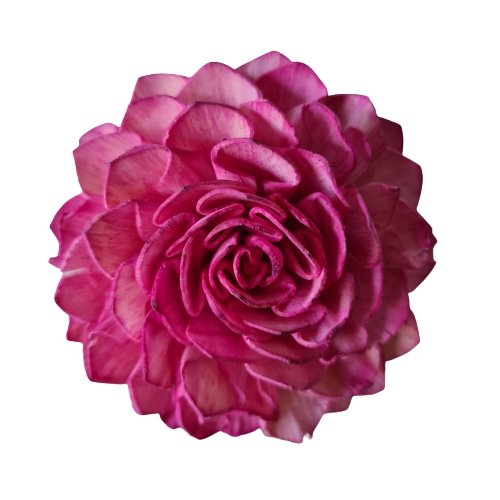 Pink Solar Flower Rose Scent - Luxe Coastal Home