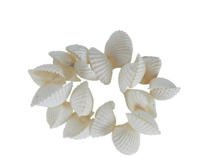 Salt Cay Shell Napkin Ring - Luxe Coastal Home