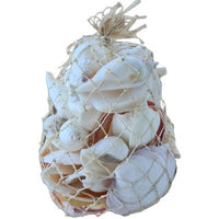 White Sea Shells in Abaca Bag. - Luxe Coastal Home